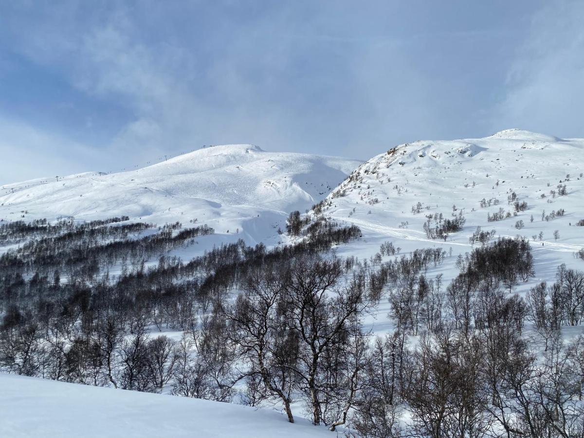 Vangslia, Oppdal. Lekker Med Inn/ski Ut Casa vacanze